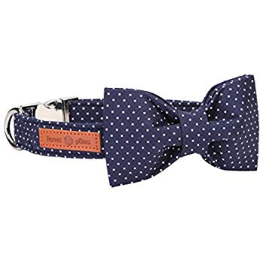 lionet paws Dog  Collar with  Removable Bowtie XL